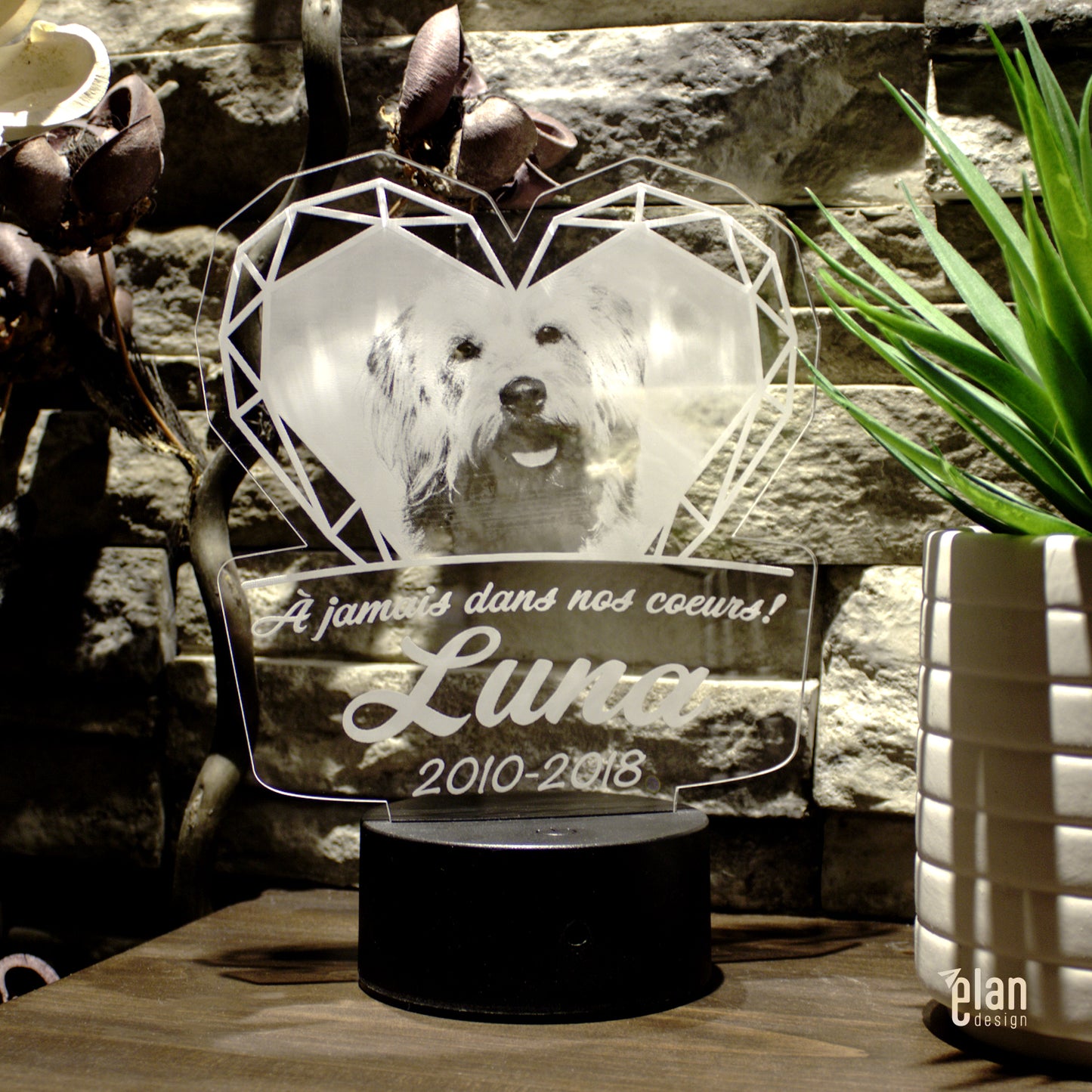 Acrylique personnalisé avec base lumineuse