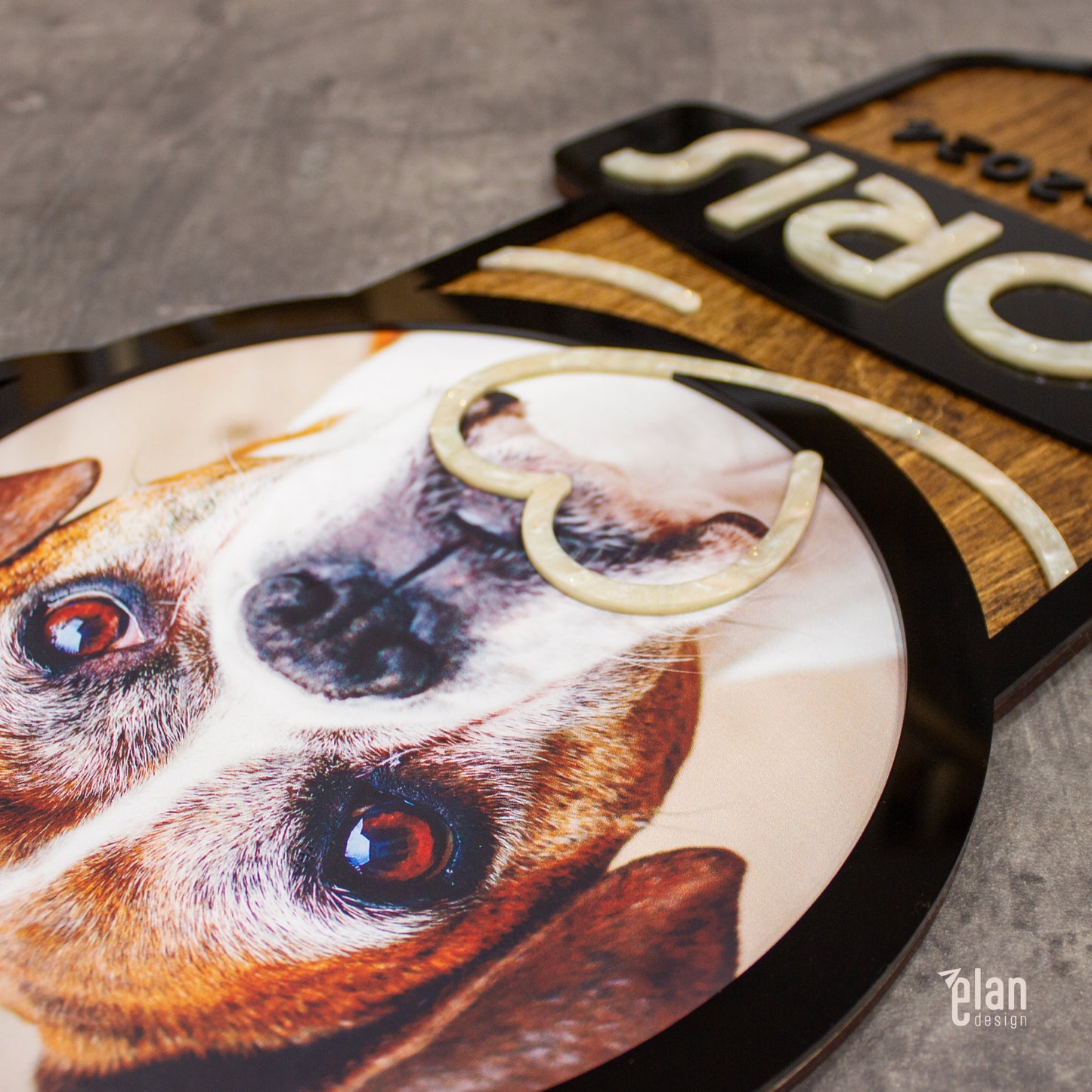 Plaque souvenir personnalisée pour chiens et chats