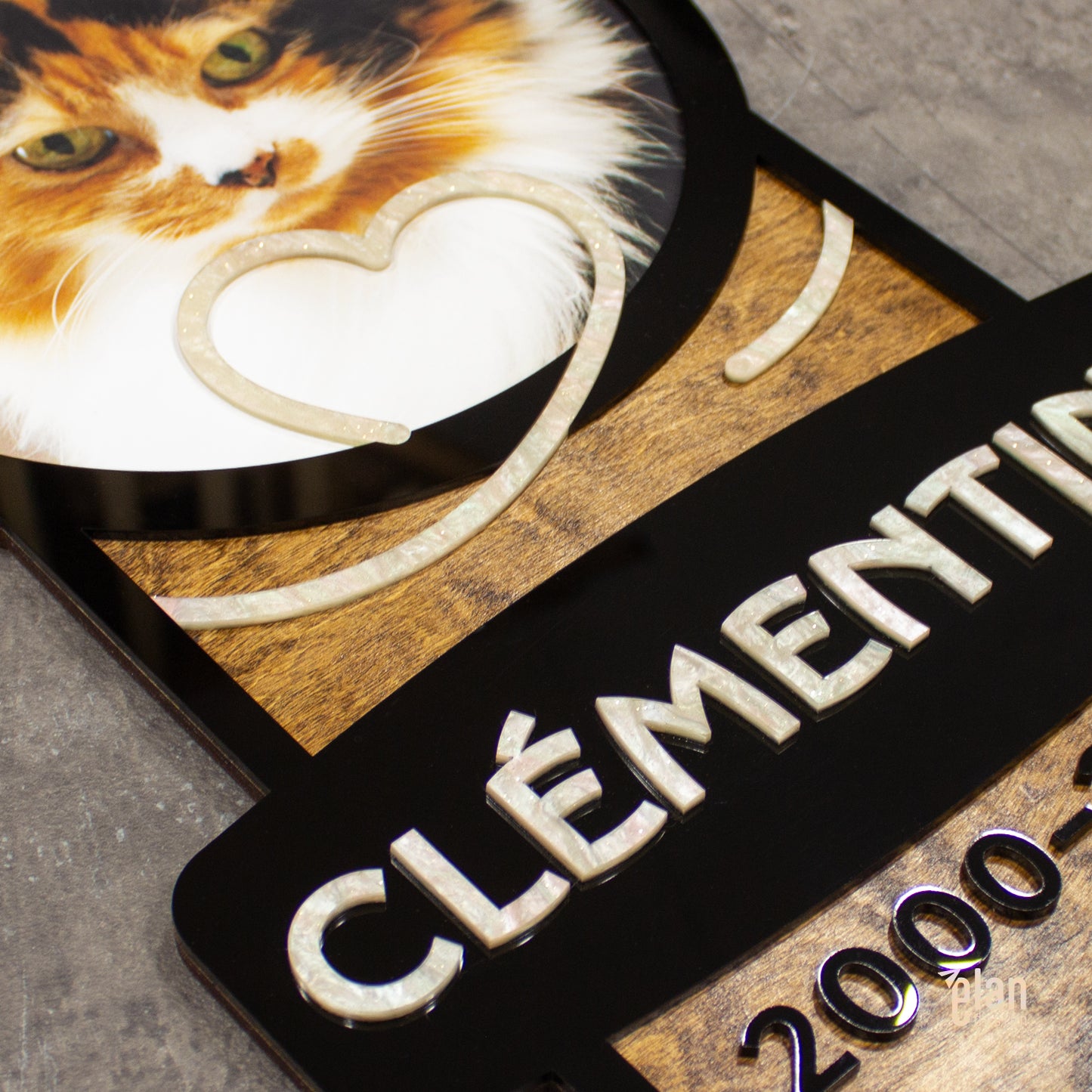 Plaque souvenir personnalisée pour chiens et chats